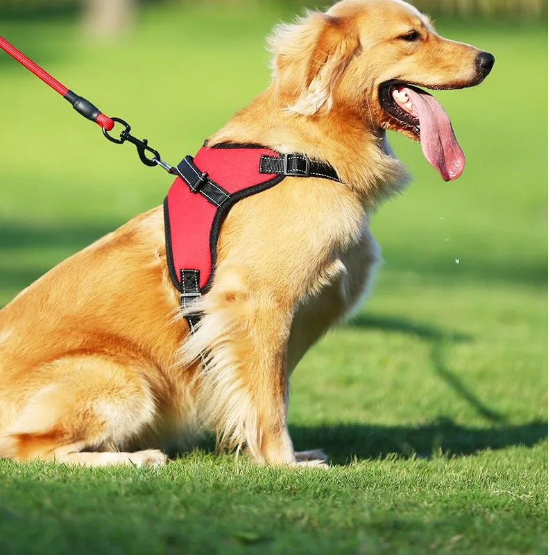 

Новый поводок для домашних животных 2026 года: дышащий, простой, регулируемый, для прогулок на улице, артикул LJ240