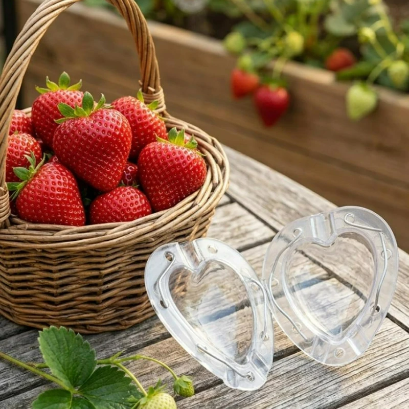 Heart Shaped Fruit Growing Mold Transparent Vegetables Shaper for Strawberry Apple Pear Garden Creative Planting Tools with Rope