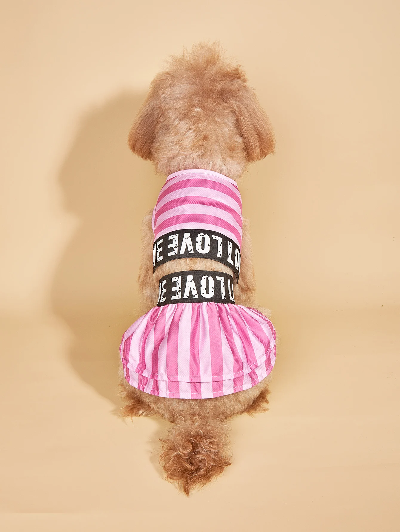 Dog Dress for Small Dogs Cool Costume Striped Puppy with  Doggie Pet Clothes Cool Swimwear Apparel for Dogs Cats  Summer