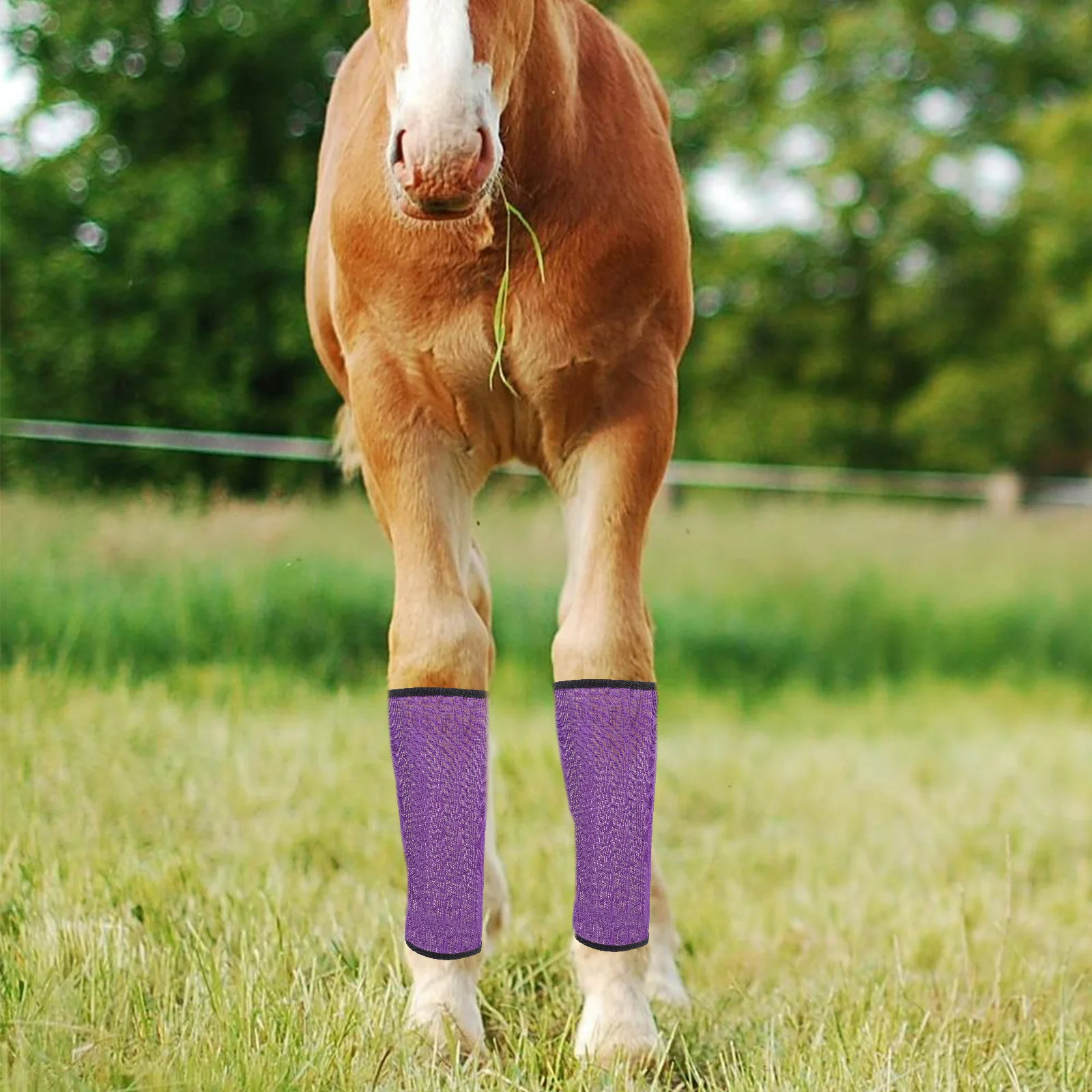4 قطع من أحذية ركوب الخيل على شكل ساق الحصان، غطاء حماية يلتف شبكيًا قابل للتنفس باللون الأزرق #6