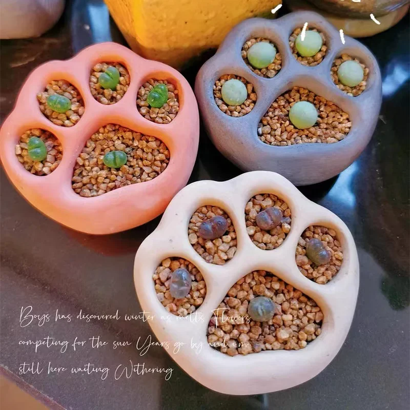 

Cat Claw Small Flower Pot High Beauty Super Cute Living Room Alien Antique Breathable Creative Interior Decoration W1T1J9