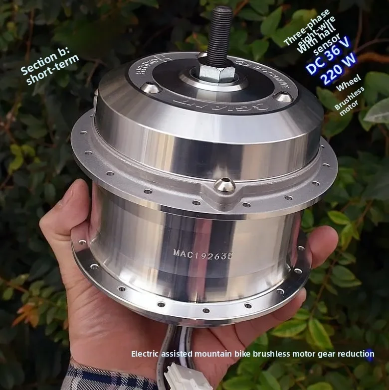 Electric Assist, Mountain Bike, Brushless Wheel Motor, One-way Clutch, Gear Reduction