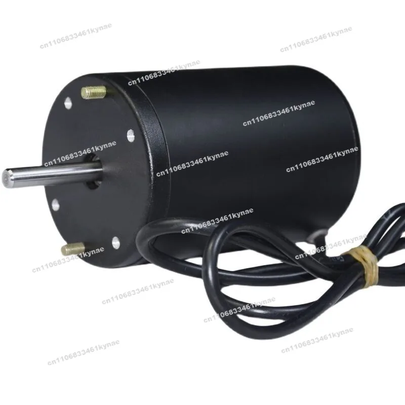 Permanentmagnet-Gleichstromgenerator 12V/24V 100W 180W 300W Handkurbel Wind- und Wasserkraft Batterieladung