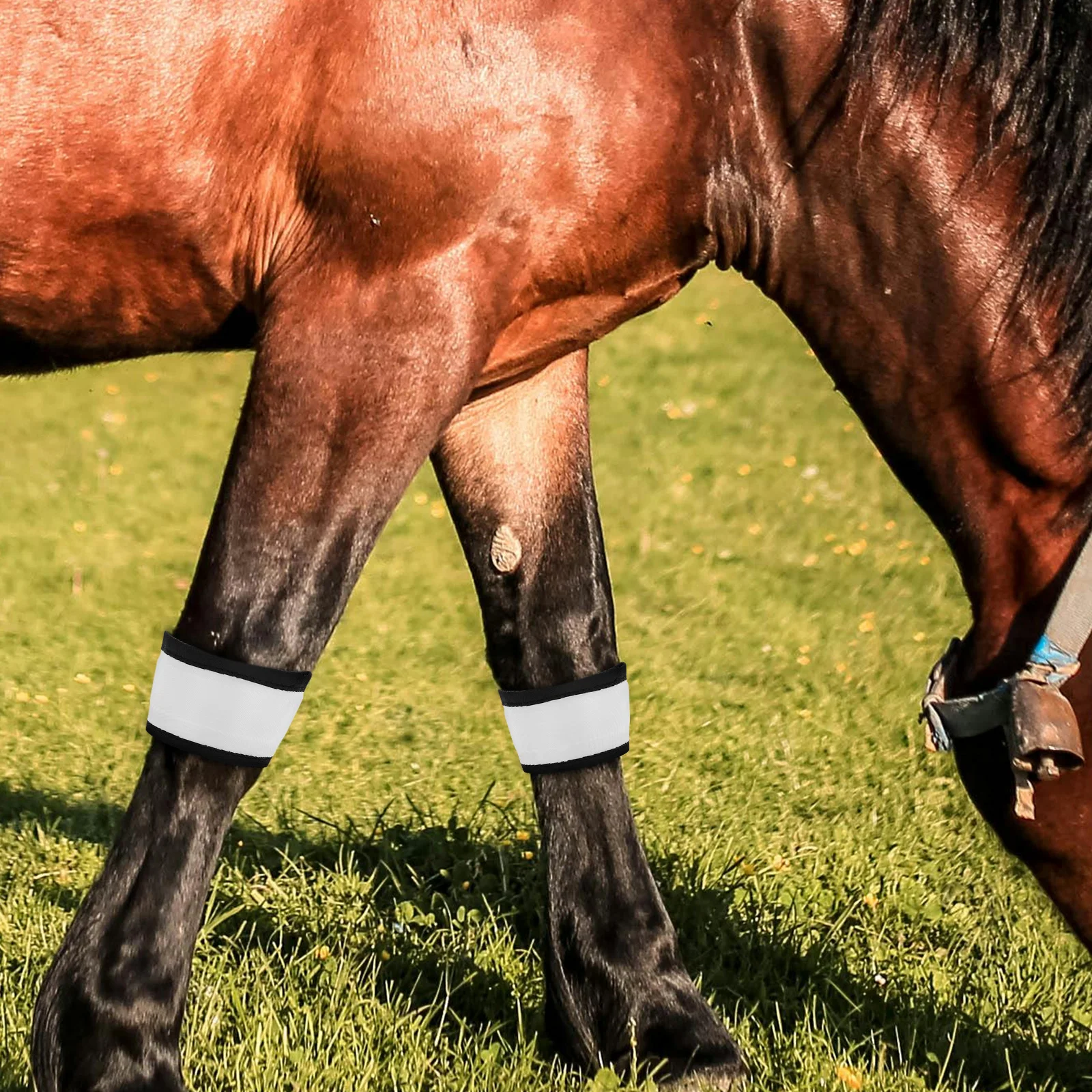 

4 Pcs LED Horse Ankle Strap Leggings Reflective Riding Gear Large Medium Equine Light Up Collar Durable Bright Safe Night