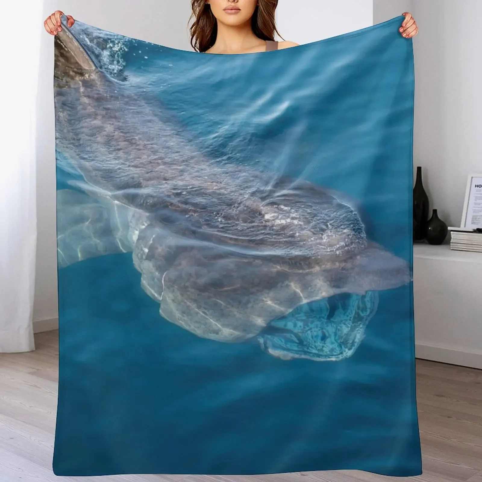 Basking Shark, West Cork, Ireland Throw Blanket Spring Fall Cozy Throw Blanket for Couch