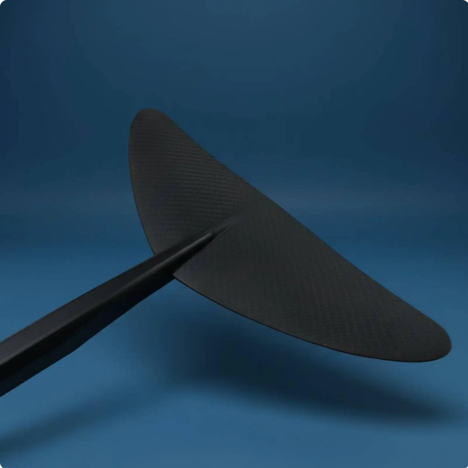 Variant: Rear Wing