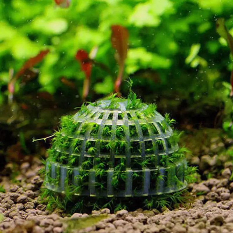 1pc Aquatic Pet Supplies Decorations Aquarium Moss Ball Live Plants Filter For Java Shrimps Fish Tank Pet Fish Tanks Decor