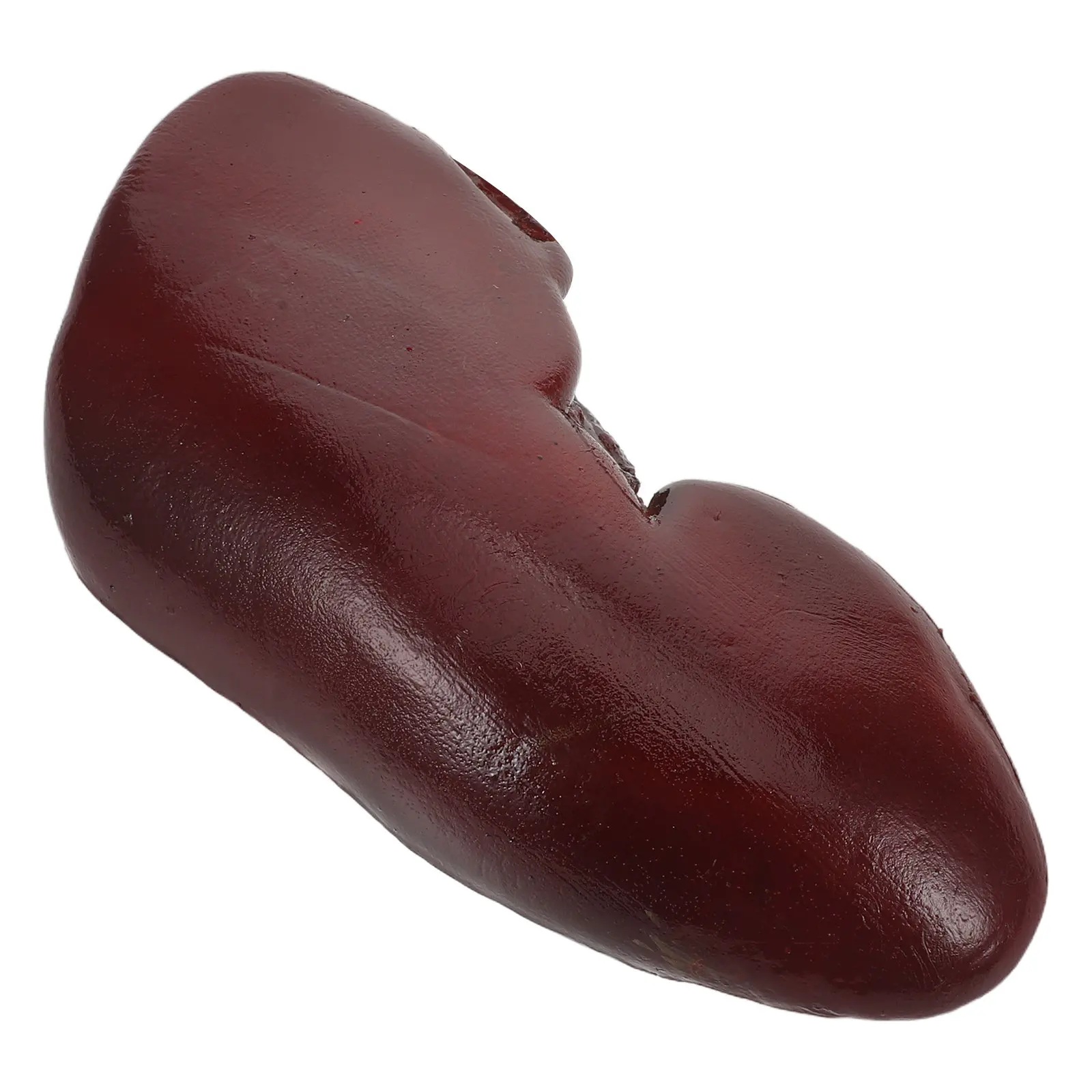 

Реалистичный муляж свиных почек с натуральной текстурой, детализированный орган для Хэллоуина, розыгрышей, косплея, дома с привидениями, сценических выступлений