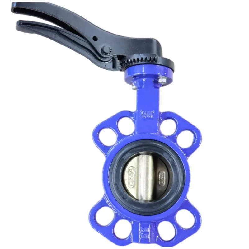 

Durable Ductile Iron Control DN150mm DN250mm Wafer Butterfly Valve for Filtered Water