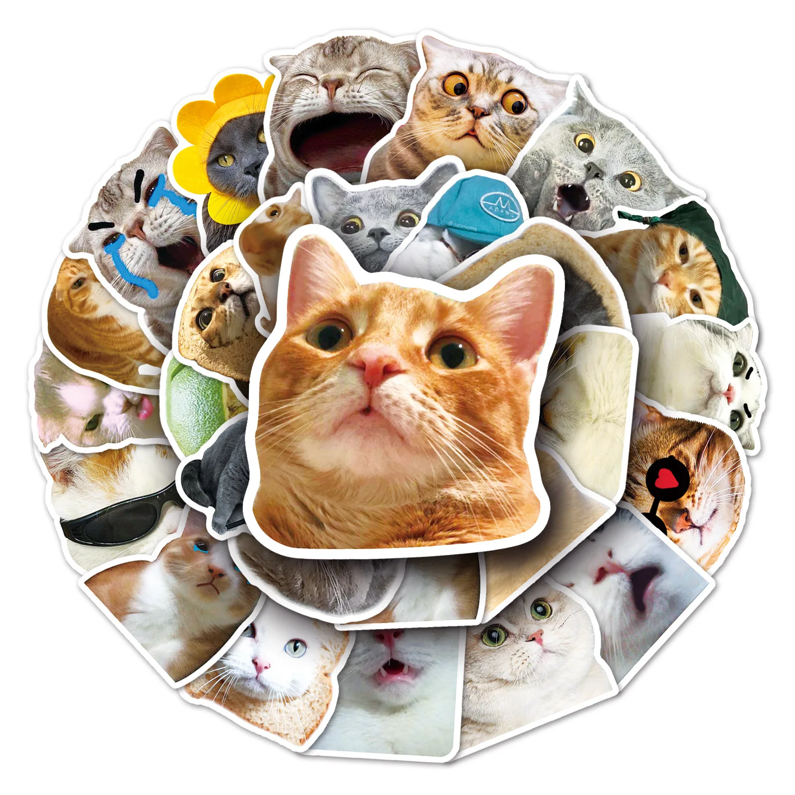 

50PCS Cat MEME Funny Cute Pet Stickers Graffiti Animal DIY Decoration Laptop Phone Case iPad Waterproof Stickers Kids Toy