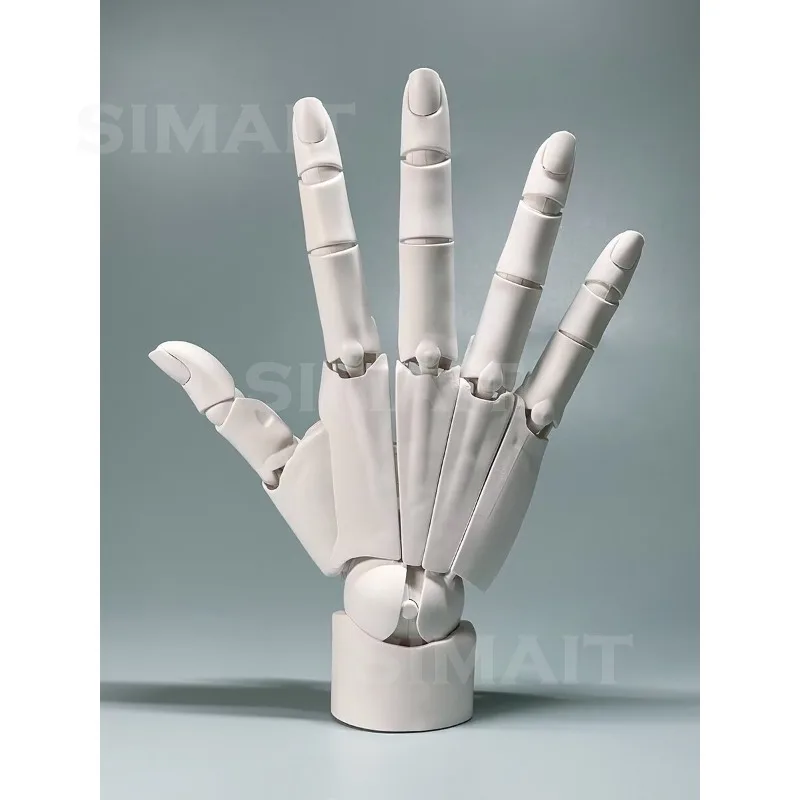 Movable Finger Joint 1/1 Hand Model Bracket, Drawing Sketch, Standard Hand Model