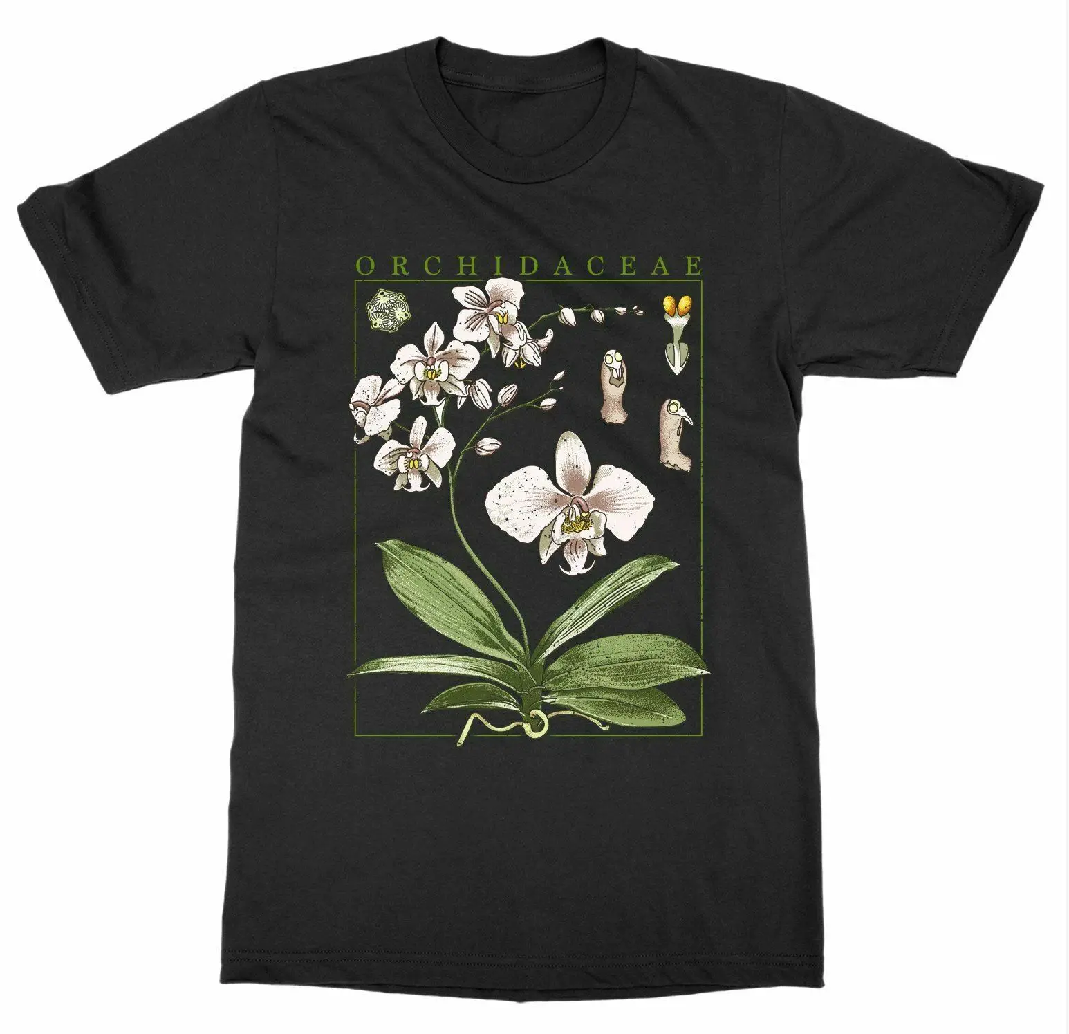 

Botany Plant Orchid Bloom Fruit Flower Grow Print Art T-Shirt 100% Cotton O-Neck Short Sleeve Casual Mens T-shirt Size S-3XL