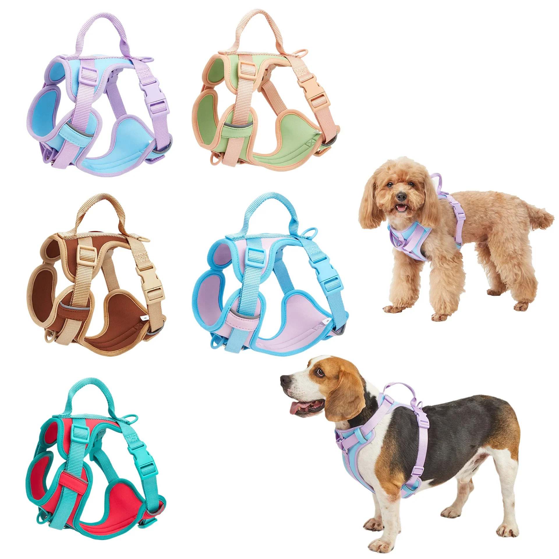 

Neoprene Dog Collar and Leash set with Dispenser Dog Chest Soft Adjustable Dog Vest Harness Matching Leash Waterproof