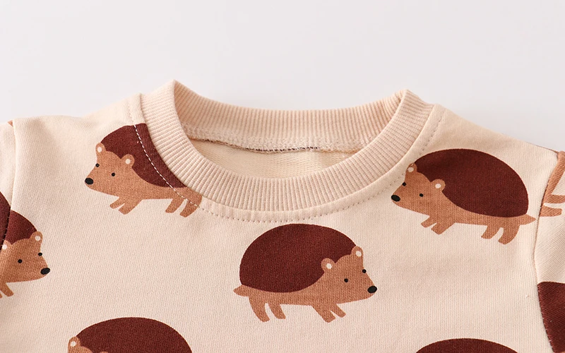 SAILEROAD Spring New Boys 2-7 Years Clothes Cotton Outerwear Cartoon Hedgehog Baby Tops Girls Kids Toddler Hoodie Sweatshirts