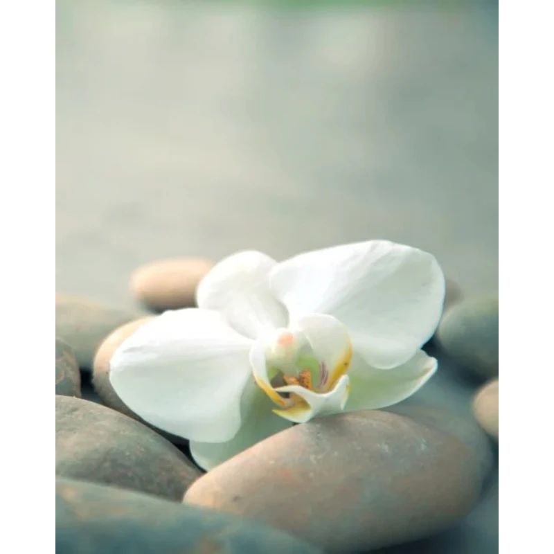 2026 Green Bamboo Zen Stone Canvas Painting Wall Art Bathroom Picture Green Bamboo Posters Print Stone Scene Room Home Decorat