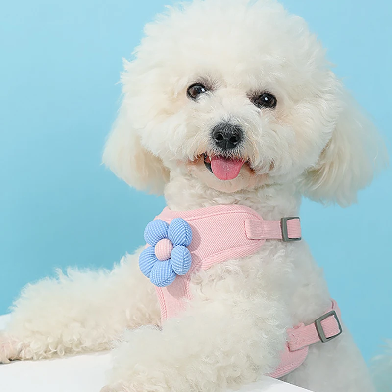 MADDEN-Colete de arnês ajustável para cães e gatos, respirável, arnês de peito para cães pequenos e médios, caminhada ao ar livre