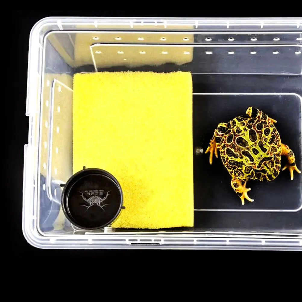 

4Pcs Reptile Feeding Dishes Premium Safe Durable Easy Clean No Holes Flat Design Reptiles Supplies Reptile Feeders