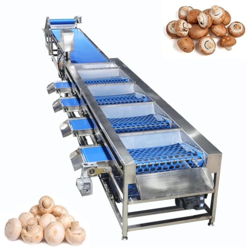 High Efficiency 220V Vegetable Grading Sorting Equipment for Pumpkin, Zucchini, Melon | High Throughput, Adjustable Speed
