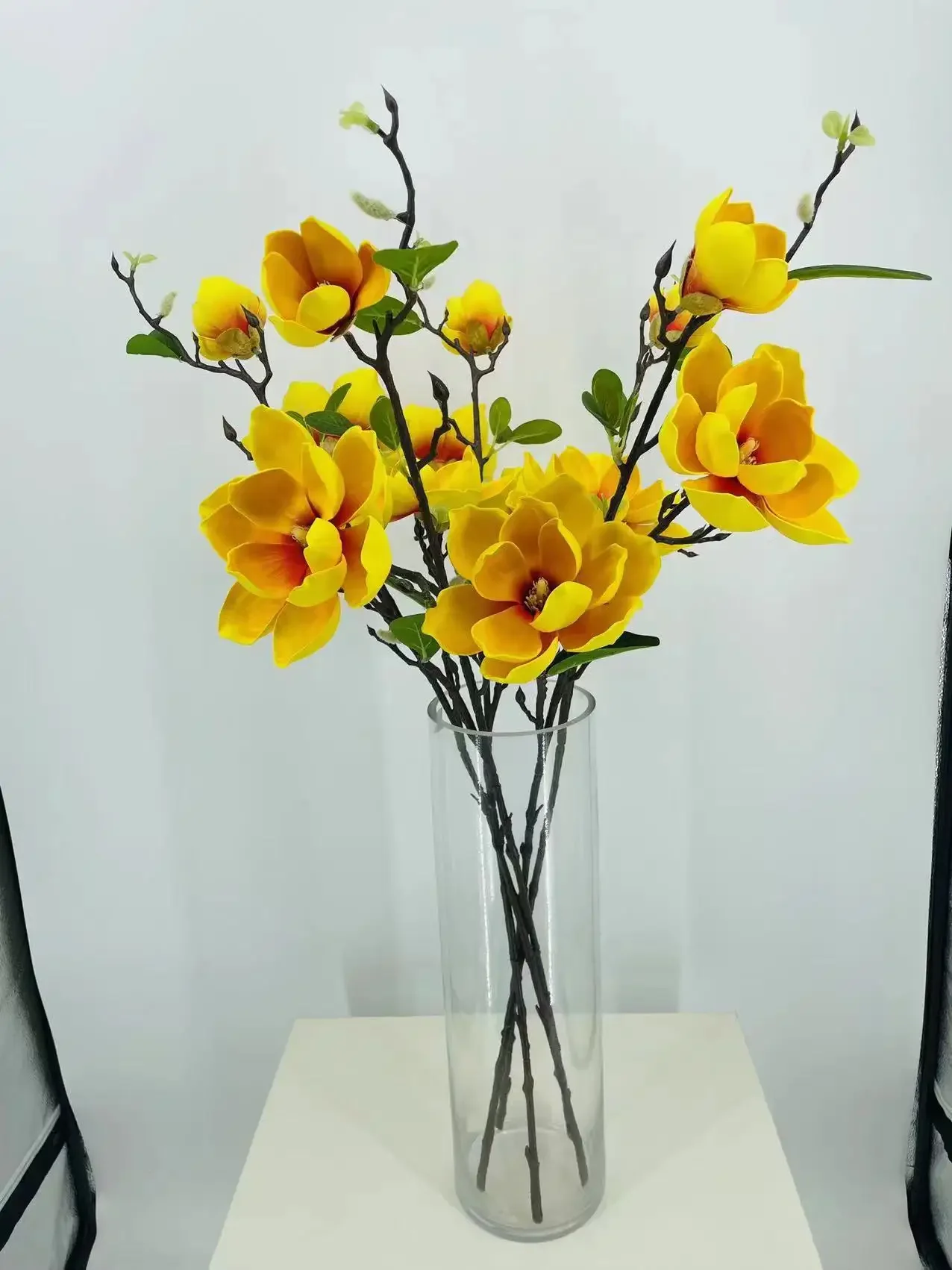 Thumbnail 2 - #11 Trending Dried Flowers Right Now