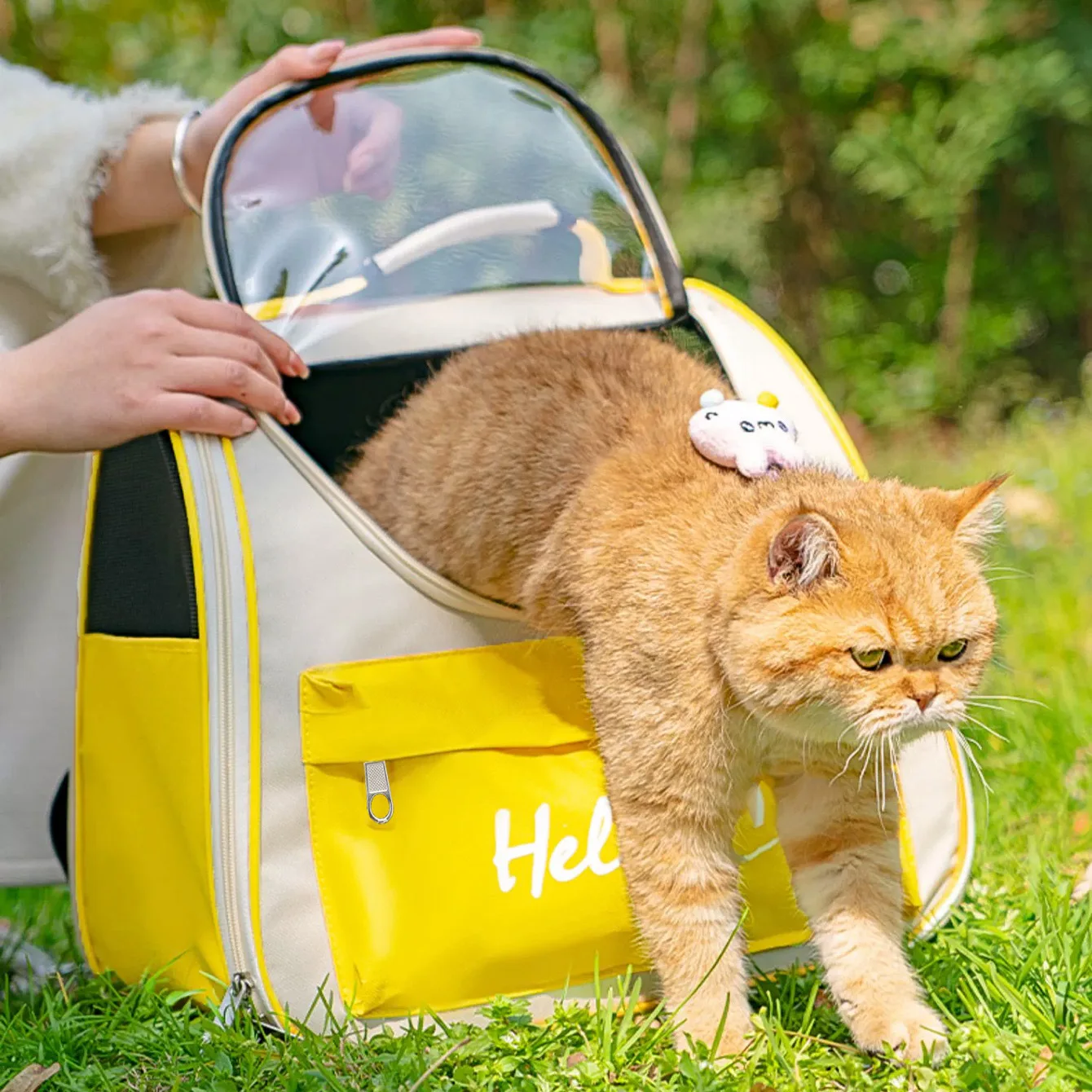 

Transparent Cat Backpack Carrier, Space Capsule Pet Travel Bag for Cats & Dogs, Breathable Anti-Sunshine Large Puppy Cage