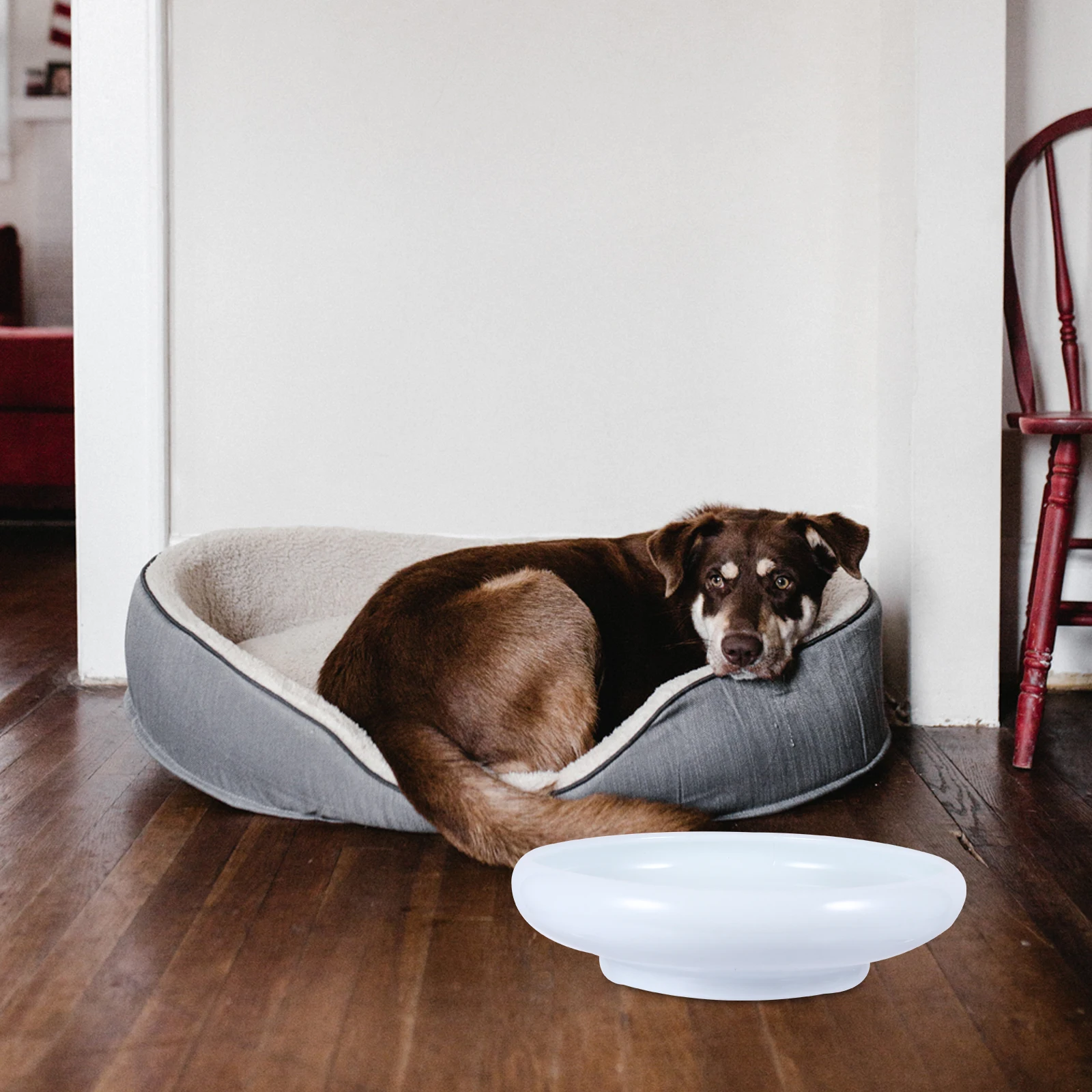 

Anti-Overflow Cat Bowl Ceramic Pet Feeder Stable Non-Slip Design Whisker Fatigue Relief for Cats Kittens Puppies