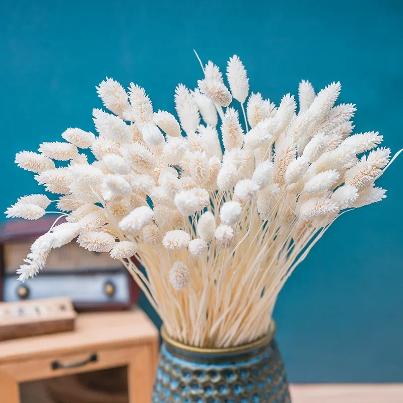 

Abundant 60Pcs Dried Flower Rabbit Tail Bouquet - Suitable for Bathroom Decor, Home Interior and Unforgettable Wedding Decor