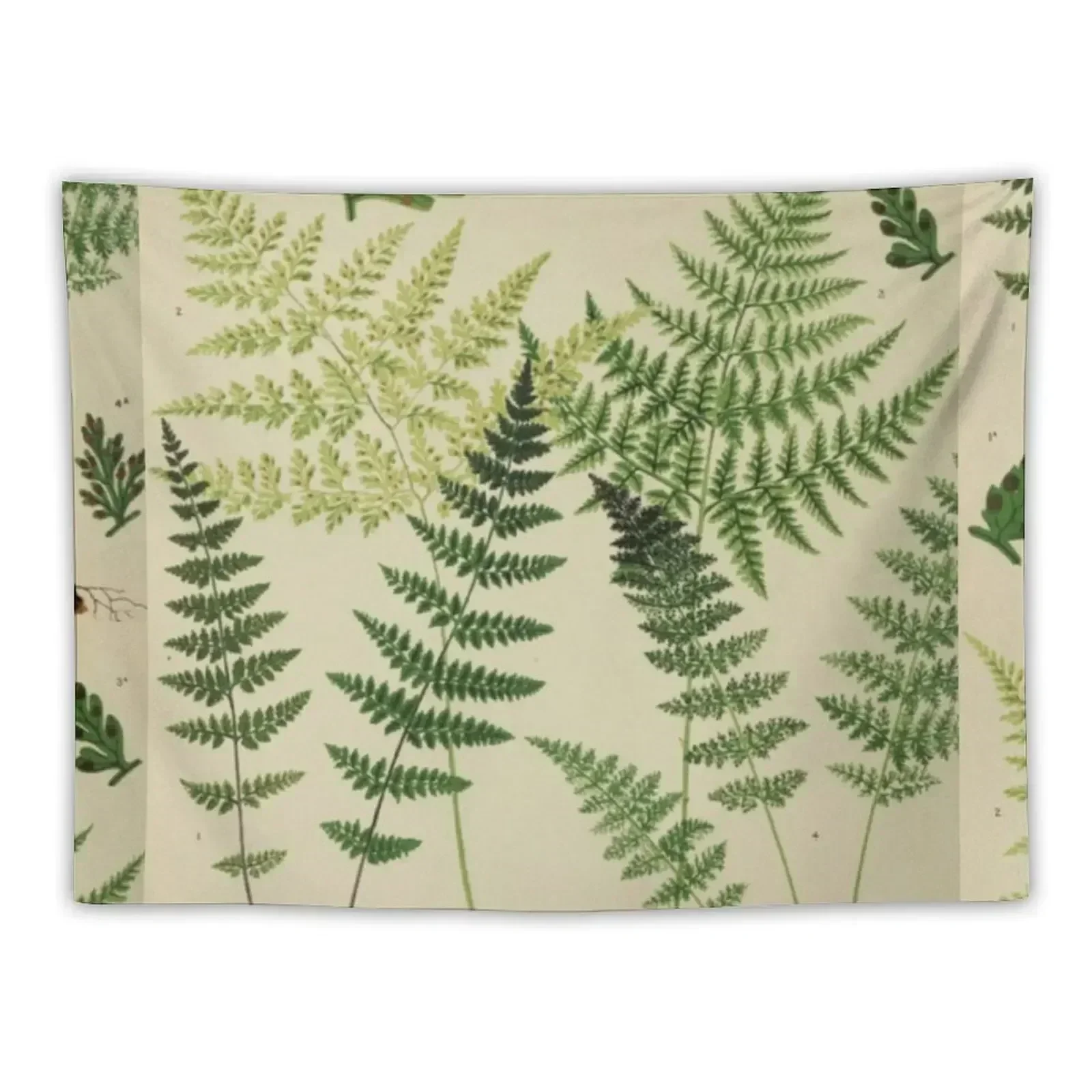 

Botanical Ferns Tapestry Decorative Wall Bed Room Decoration Room Decor Korean Style Home Decorators Tapestry