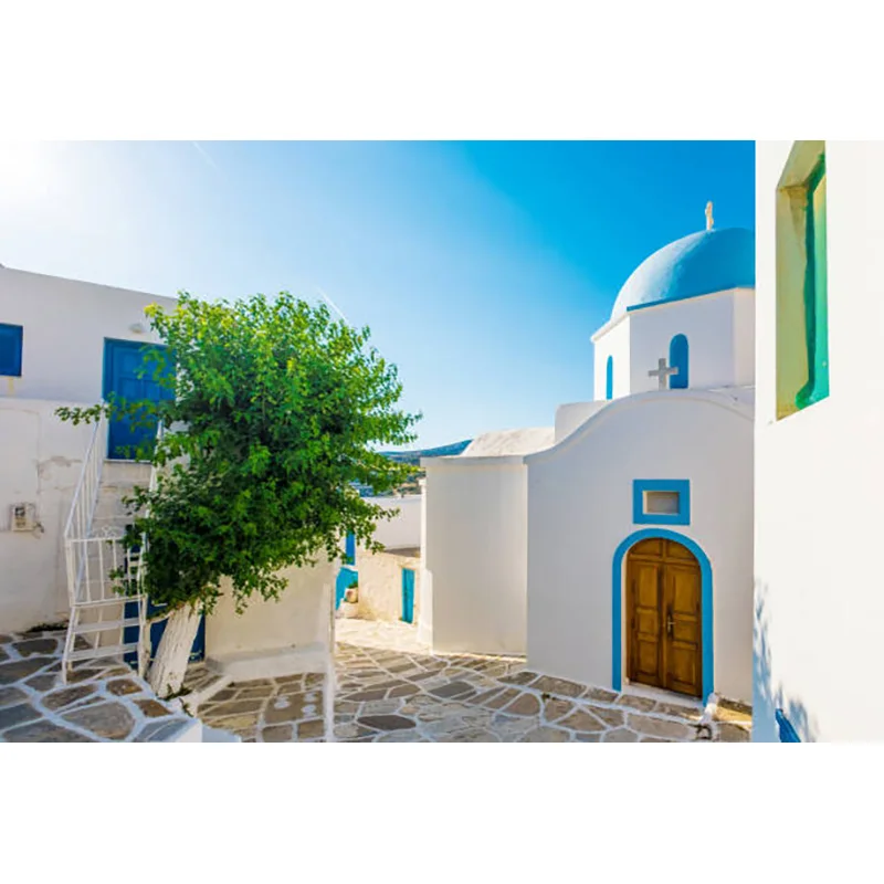 ZHISUXI piante verdi e case tradizionali fiori primaverili sulle strade della piccola città fotografia sfondo Prop XZ-08