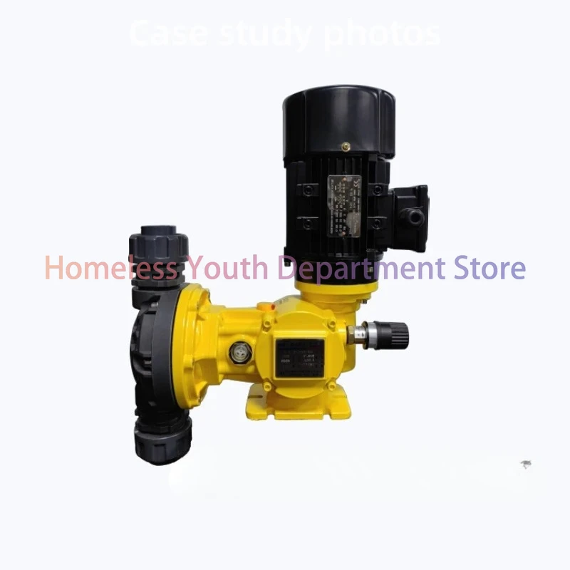 GS Series Adjustable Flow Rate Diaphragm Dosing Pump for PAC/PAM Water Treatment Chemical Metering Pump for Wastewater OEM