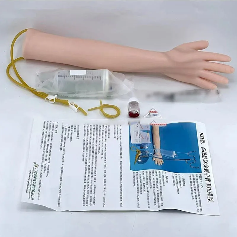 Anatomical Arm Vein Puncture Model Human Body Simulation for Medical Training for Medical Schools and Medical Science