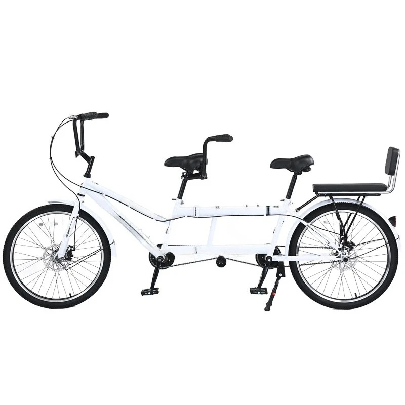 

Double bicycle folding variable speed parent-child family