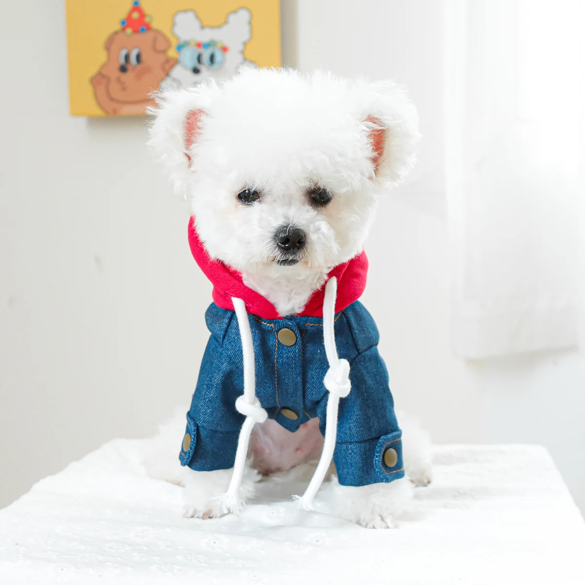 1PC Pet Clothing Dog Cat Spring handsome California cowboy red hat traction coat suitable for small to medium sized dogs