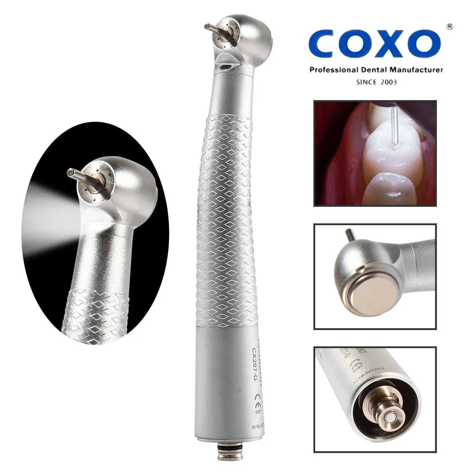 COXO Dental Fiber Optic High Speed Turbine Handpiece For NSK Phatelus Quick Coupler Coupling 6Hole