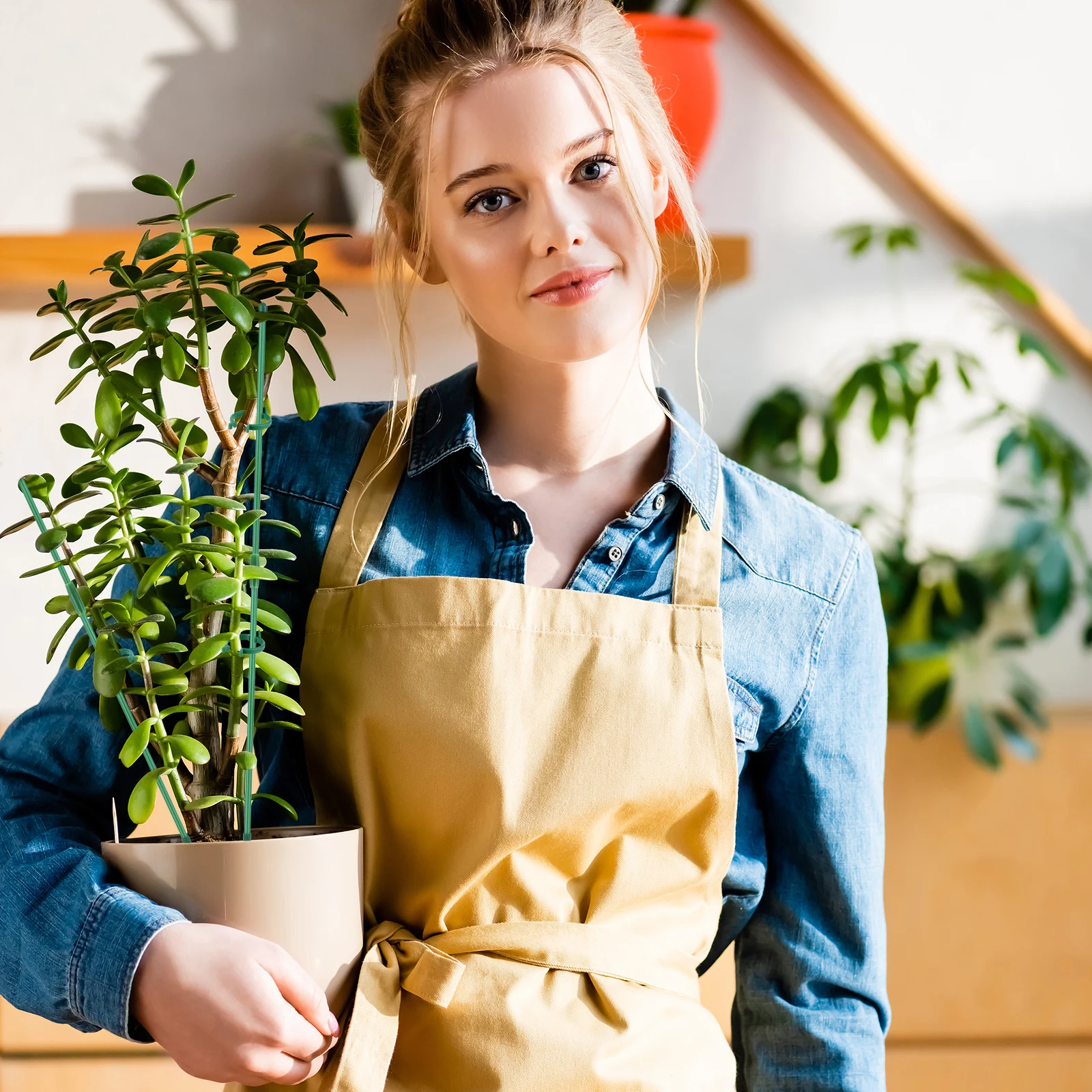 30 pezzi di supporto per piante regolabile, bastoncini per piante da interno, supporto per piante multifunzionali, pali di supporto per piante di orchidee, peonie