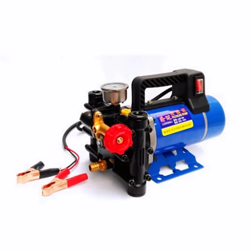 12V 24V 48V 60V 72V 220V Electric High Pressure Pump Double Cylinder Piston Agricultural Sprayer Car Wash Irrigation Spraying