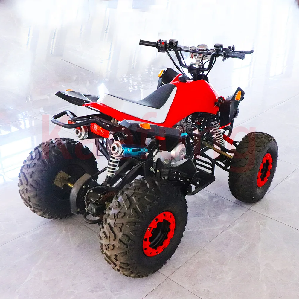 Beach Bike Quad Off-Road Motorcycle 49cc Little Bull Petrol ATV All Terrain Field Buggy