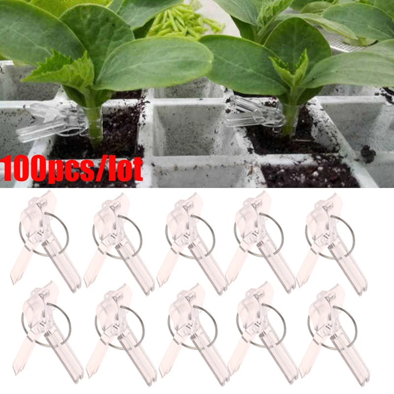 100Pcs 15x35MM Grafting Clips Vegetables Grafted Clamp Garden Plants Seedling Transparent Plastic Joint Gardening Tools