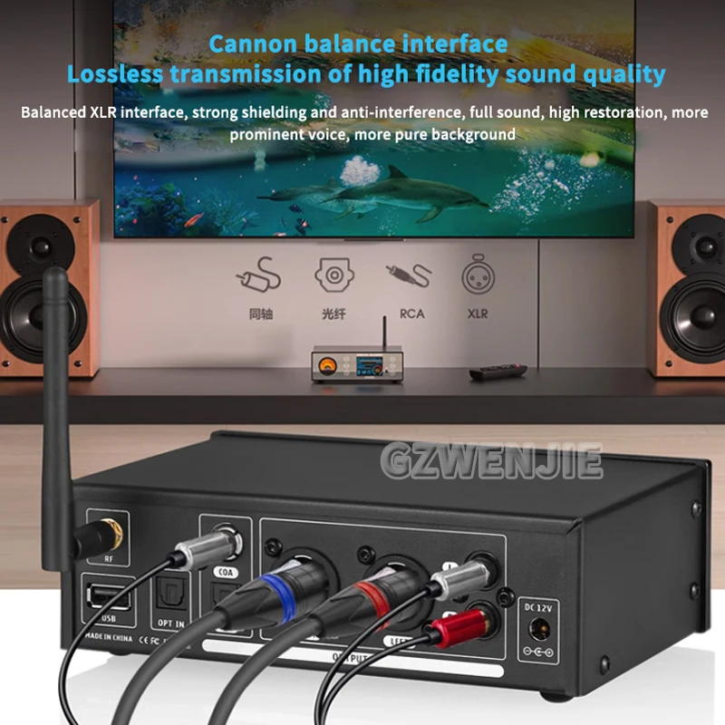 C100 PRO HiFi Bluetooth 5.0 Digital ESS9038 Preamp OLED Display Streamer USB Player DSD512 with VU Meter Decoding player