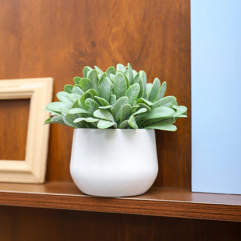 1 قطعة ترتيب يرتدي النباتات المحاكاة ثلاثية الأبعاد. مناسبة لمكاتب الأعمال وطاولات الطعام في الفنادق والمقاهي ونوافذ العرض والمعيشة #5