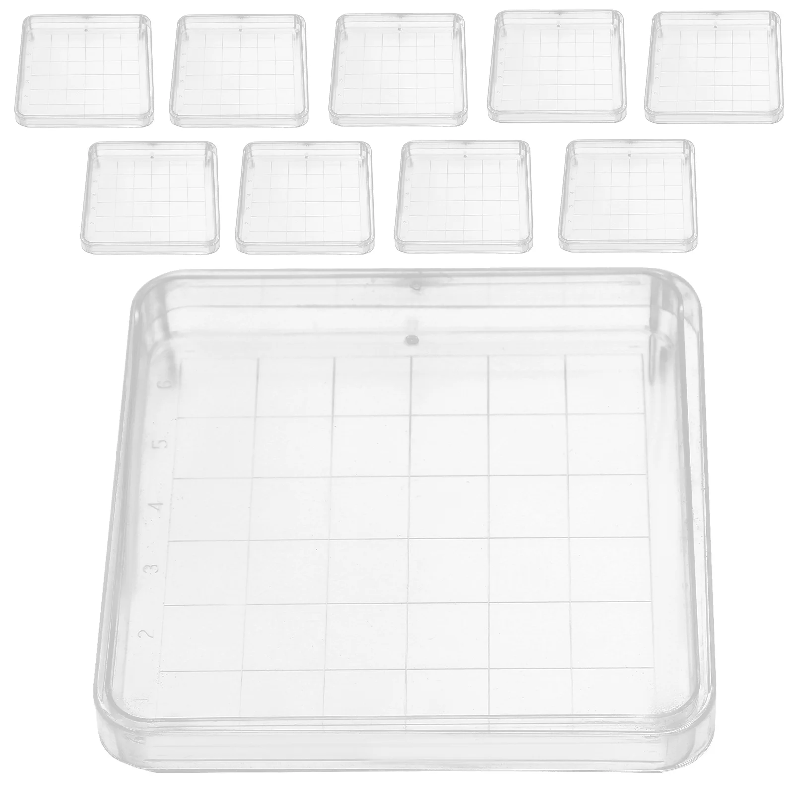 

10Pcs Plastic Petri Dishes Clear Laboratory Plates Durable Design for Scientific Experiments Microbiology Culture Plates