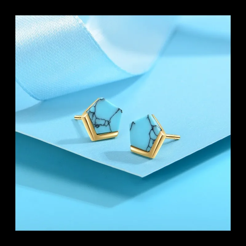 

Нишевые серьги-гвоздики с пятиугольной эмалью просто, модные и легкие роскошные серьги.