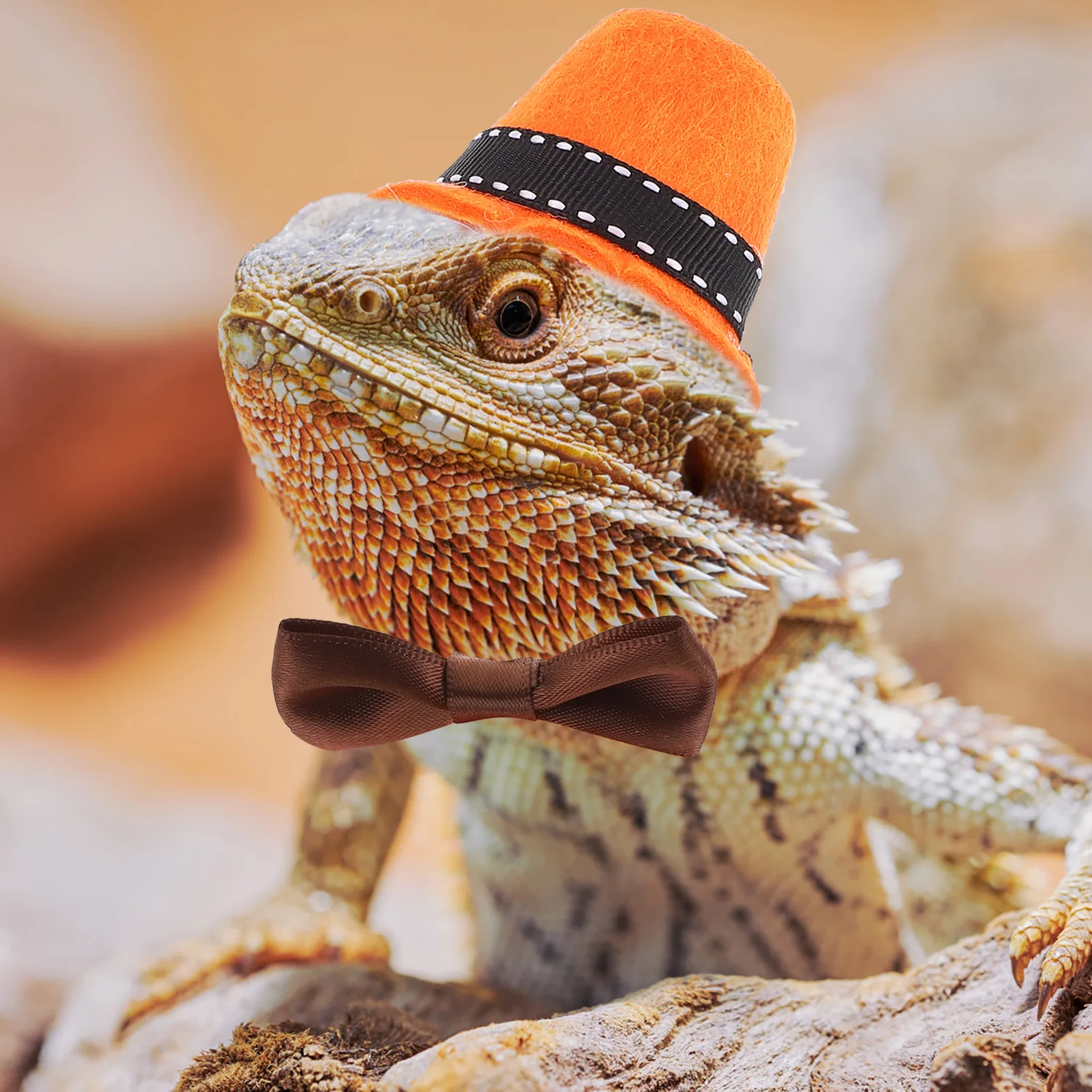 

Lizard Hat Bow tie Kit Bearded Dragon Costume Mini Size Lightweight Reptile Clothes Pet Supply Festivals nament