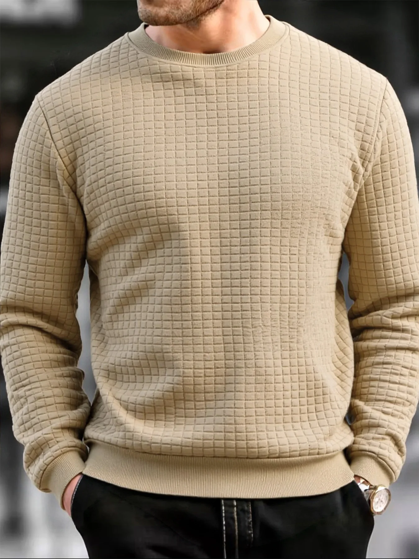 Men's Crew Neck Sweatshirts Solid Color Long Sleeve Pullover Sweatwear Spring Outdoor Casual No Hood Hoodie Jogging Tops