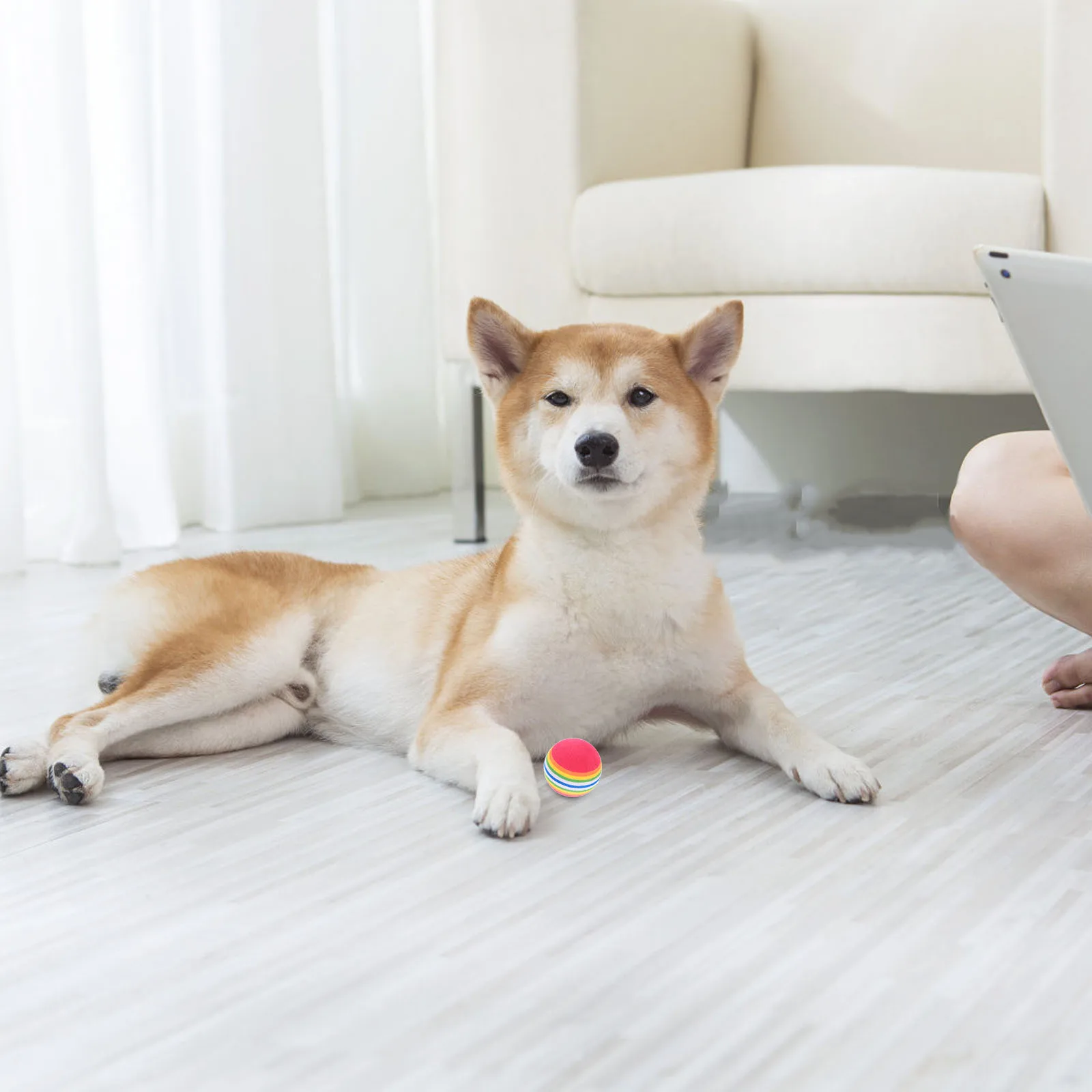 

Toy EVA Rainbow Ball Floating Ball Toys Pet Interactive Toys