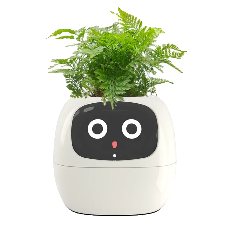 Plant cute pet machine intelligence flowerpot, English version