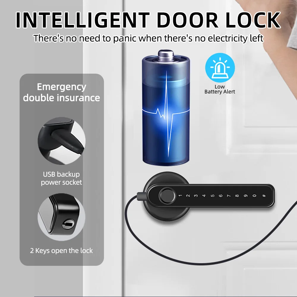 

Fingerprint Door Lock/Smart Door knob/Biometric Door Lock with passcode keypad keyless/APP Remote Control/Entry Door Handle