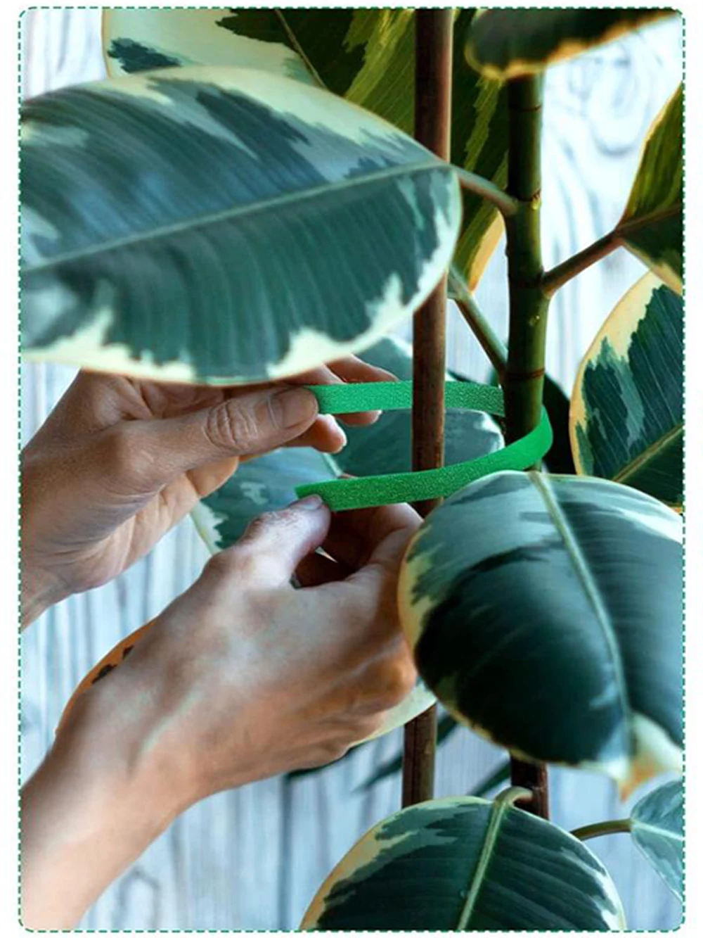 Attaches en Nylon pour plantes de jardin, 2M, boucle à crochet de jardin, bande de fixation réutilisable, Bandage pour plantes, accessoires de jardin domestique, Support de canne en bambou