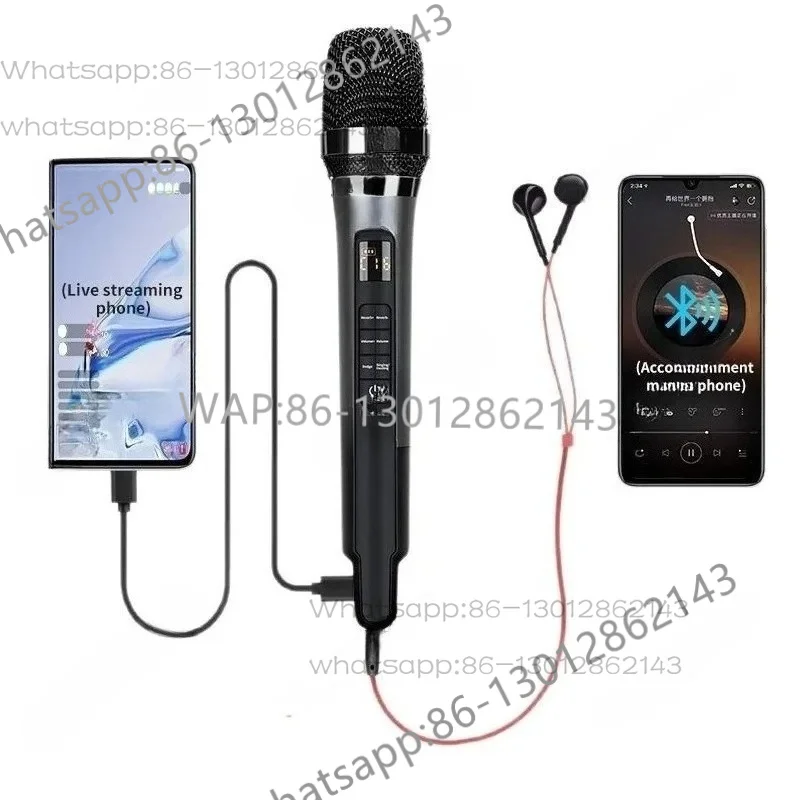 Reverberation microphone singing KTV home and outdoor heart-shaped directional sound card integrated microphone