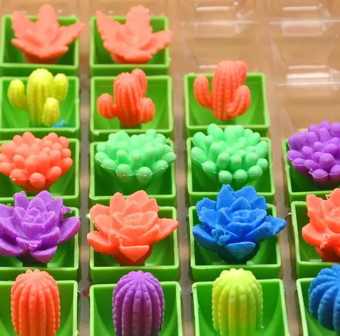 12pcs Magic Growing In Water Flower Plant Cactuse Bonsai Expansion Plant Toy Magic Toys for Children The Cactus Can Grow Toys