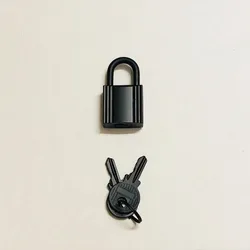 Bag Metal Lock Head Pure Stainless Steel  Hardware Kell Platinum Lock Accessories Metal Pendant Basket Bag Small Padlock